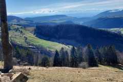 WhatsApp-Bild-2024-02-24-um-17.23.07_bd1d4931