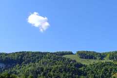 IMG-20250602-WA0007