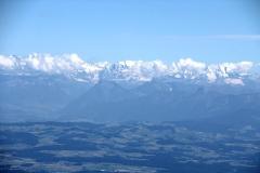 img_4383
