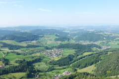 DSC09561