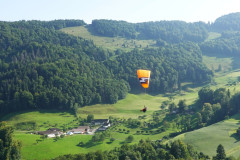 DSC09569_zg