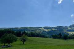 IMG_E8568