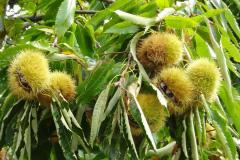 griechenland_2017_18