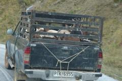 griechenland_2017_44