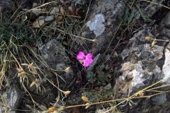 griechenland_2017_46