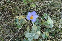 griechenland_2017_48