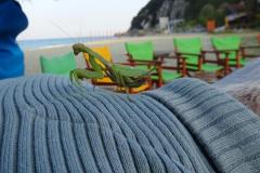 griechenland_2017_65