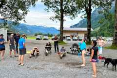 IMG-20240719-WA0011