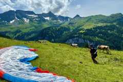 IMG-20240719-WA0012